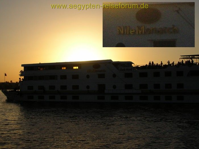 Nile Monarch