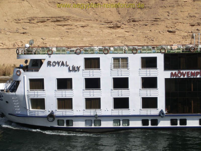Royal Lily