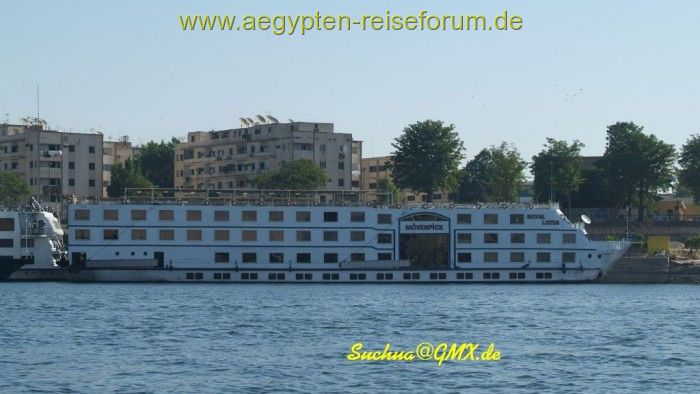 MS Royal Lotus