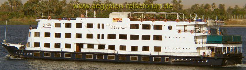 MS Flash II