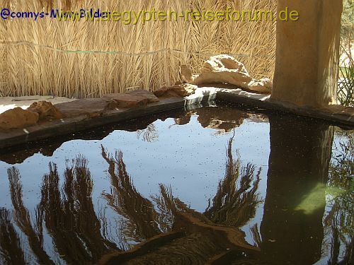 Schatten am OasenPool