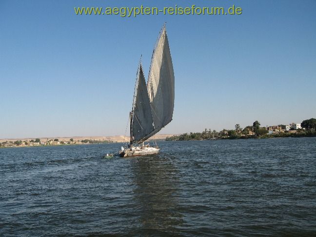 Feluke bei Mallaui