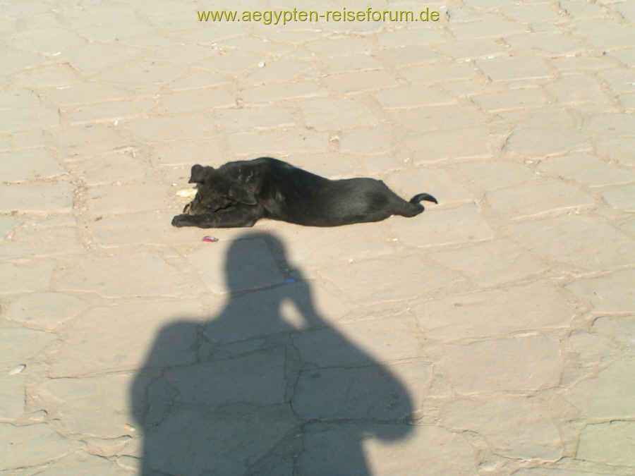 Schatten