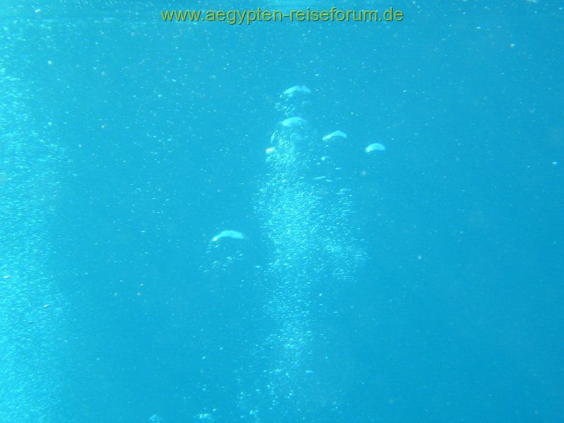 Wo ist der Sportler?