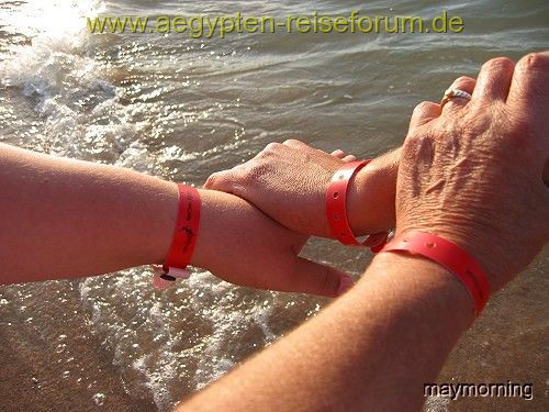 Bitte setzen, wir tragen Euch ins Wasser