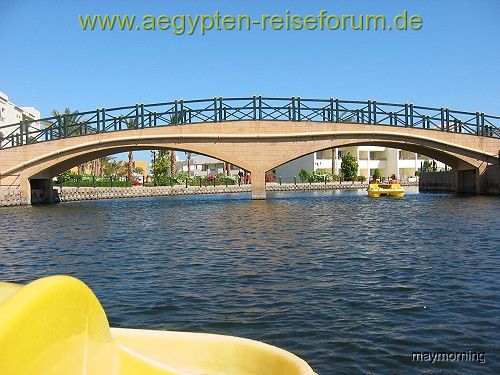 Tretbootfahren - wer wird Erste?