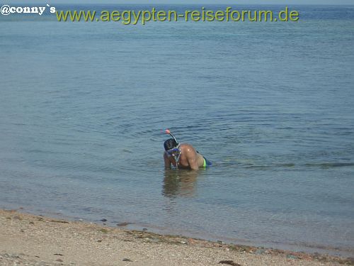 Sport ist Mord