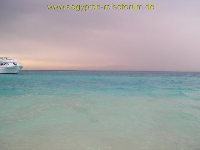 Farbenpracht bei Regen