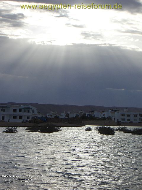 Auf  Regen folgt SONNE / El Gouna