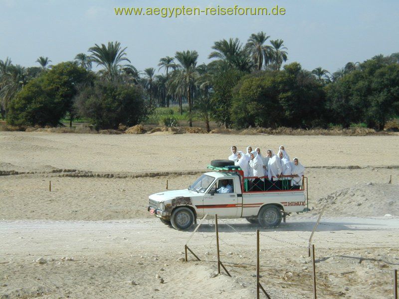 Schulbus auf Ägyptisch - Besser schlecht gefahren als gut gelaufen