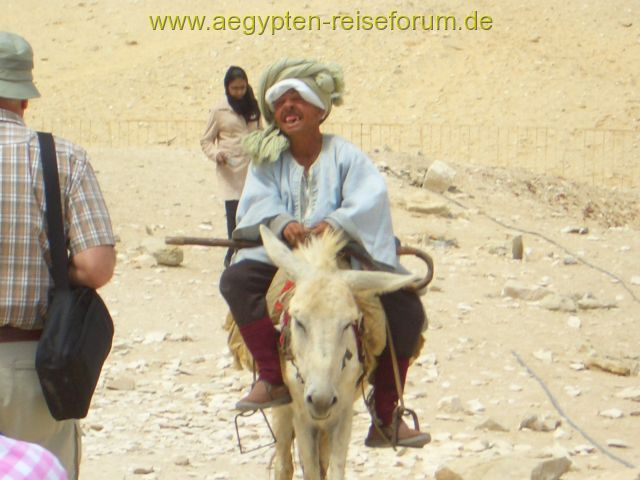 Von diesem gutgelaunten Reiter wurden wir in Sakkara empfangen...