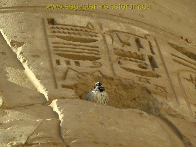 Hieroglyphen-Bewohner