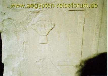 Ein Alien ?