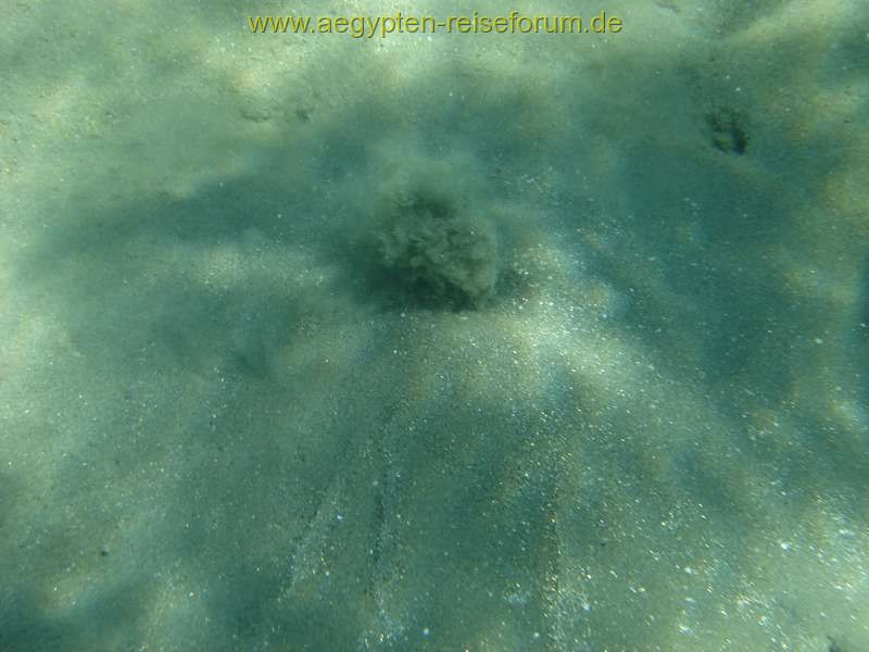 Schnorcheltraum Lahami-Bay