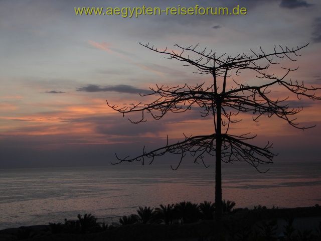 unendliches Meer