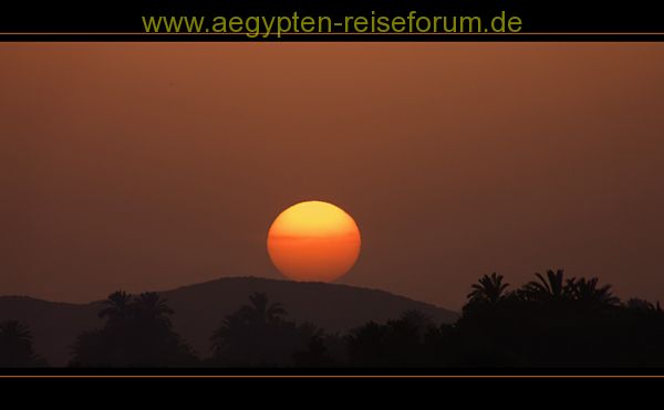 Wüstensonne