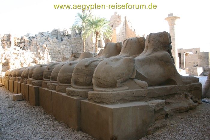 Die andere "Ansicht" der Sphingen