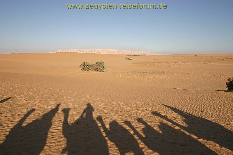 Karavane der Reitenden Schatten