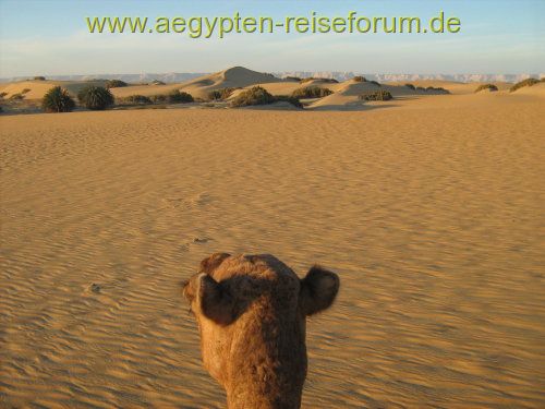 Wo ist Wasser ?