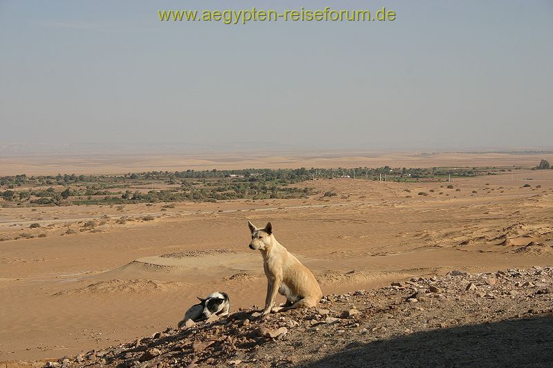 Entspannt und wachsam