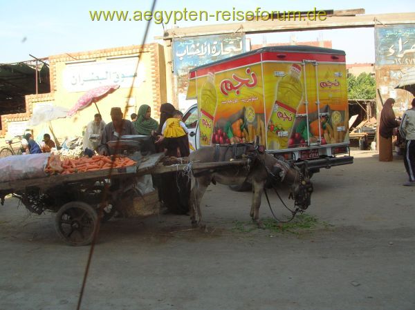 " Werbe Auto " in Giza