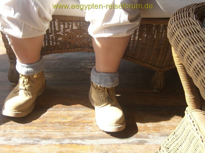 Meilenweit mit meinen Camels