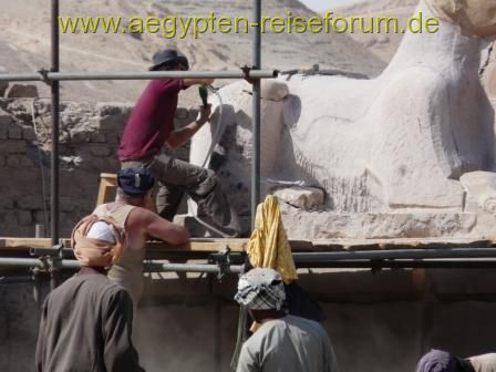 gut "behütet" bei der Arbeit