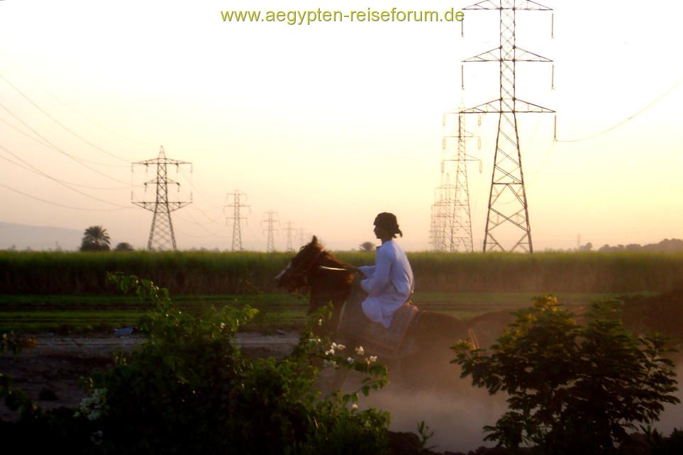 Der elektrische Reiter?