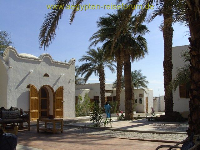 DAI Luxor