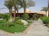 Makadi Oasis