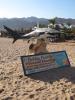 Achtung Haialarm in Dahab! Achtung Haialarm in Dahab!
