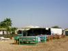 Hotel Lotus Bay in Safaga