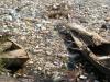 Westbank-Gezira-Kanal.jpg Westbank-Gezira-Kanal.jpg