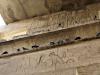 Tierische Hieroglyphen im Ramesseum