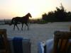 Flamenco Beach Resort - Abend am Strand