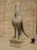 Horus im Edfu-Tempel Horus im Edfu-Tempel