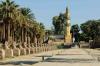 Sphinx-Allee beim Luxor-Tempel Sphinx-Allee beim Luxor-Tempel