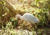 Im Botanischen Garten Assuan