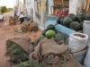 Jede Menge Wassermelonen ( Markt in Abu Simbell ) Jede Menge Wassermelonen ( Markt in Abu Simbell )