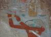 Thot ganz bunt :-) , Hatschepsut Kapelle Karnak Tempel Thot ganz bunt :-) , Hatschepsut Kapelle Karnak Tempel