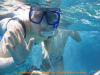 Wasserratte "Steff" im Roten Meer