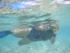 Underwater One