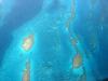 Blue Red Sea