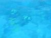 Blau in Hurghada
