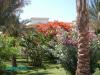 Garten Grand Hotel