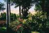 Botanischer Garten