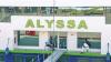 M/S Alyssa