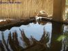 Schatten am OasenPool