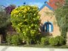 Blumige Aussicht!