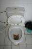 Gäste-WC im Sirtaki-Hotel/Adams Bar Dahab